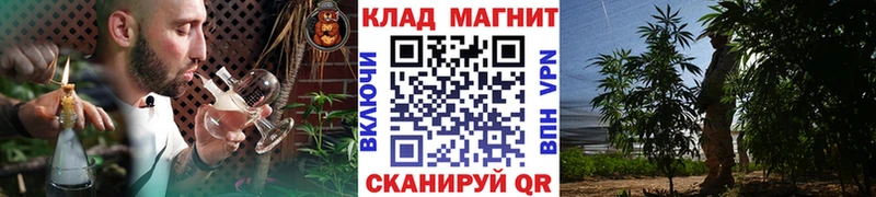 Купить наркотики цена Сибай Конопля  МЕФ  Метадон  Гашиш  Кокаин 