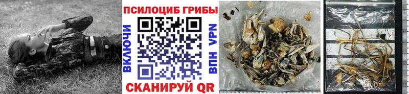 Псилоцибиновые грибы прущие грибы  наркотики  Сибай 