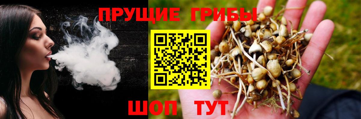 Галлюциногенные грибы MAGIC MUSHROOMS  Вход с VPN  Галлюциногенные грибы Psilocybe  что такое   Сибай 