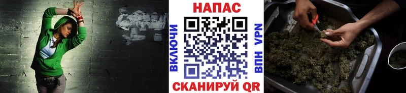 Бошки марихуана план  купить  цена  Сибай 